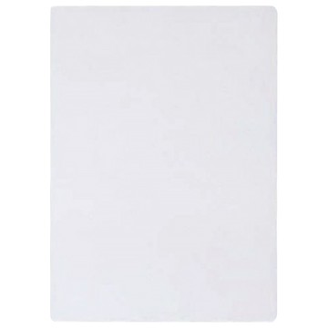 Raymay 藤井 再生PET墊板 透明色 辦公室書桌墊 學生書寫墊板 環保材質  18 x 25.5cm