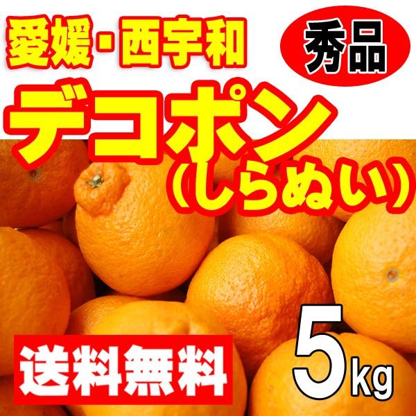 愛媛西宇和産　デコポン（しらぬひ）　秀品贈答用ギフト　送料無料　５ｋｇ