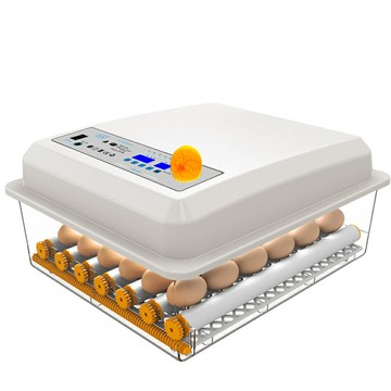 【現貨 保固兩年】110V孵化機36枚雙電源可接12V 全自動控溫家用型小雞孵化箱 雞鴨鳥蛋家禽全自動孵蛋機 雞蛋孵化器