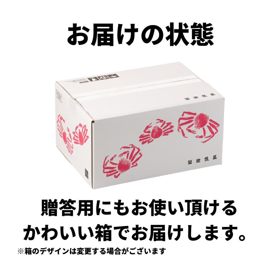 かに カニ 蟹 ずわいがに ボイル 脚 てんこ盛3kg 10-13肩 5-6人前 ギフト お歳暮 贈りもの ズワイガニ かに カニ 蟹