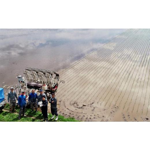 ふるさと納税 北海道 旭川市 ななつぼし 白米 真空パック 5kg×4個 合計20kg