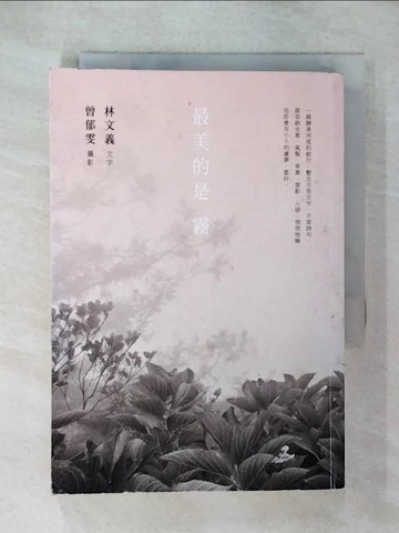 【書寶二手書T2／短篇_U53】最美的是霧_林文義字
