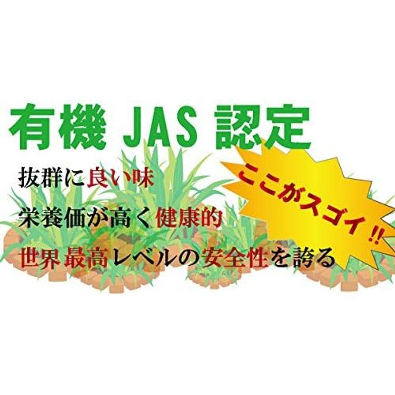 有機発芽玄米おにぎり4種類16個セット(コジマフーズ)