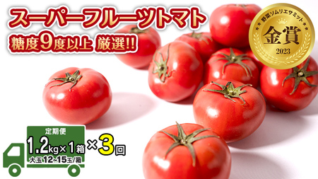  スーパーフルーツトマト 中箱 約1.2kg × 1箱  糖度9度 以上 野菜 フルーツトマト フルーツ トマト とまと [AF043ci]