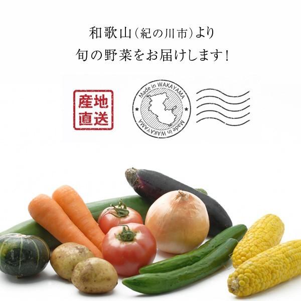 和歌山より産地直送！ おまかせ旬野菜セット 10種類以上［送料無料］※内容の指定不可 ■期日指定不可・発送翌日受取限定：お届け時間帯にご注意ください■