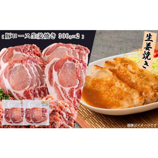 ふるさと納税 宮崎県 美郷町 宮崎県産 豚肉 鶏肉 セット ひき肉 こま切れ ロース 生姜焼き用 もも カット 小分け 合計3kg 各300g×2袋 冷凍 宮崎県産 送料無料…