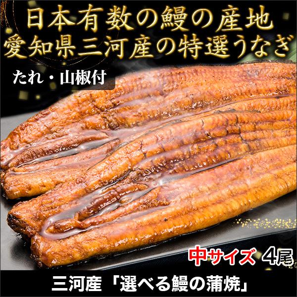 快適生活 三河産「選べる鰻の蒲焼」中サイズ4尾