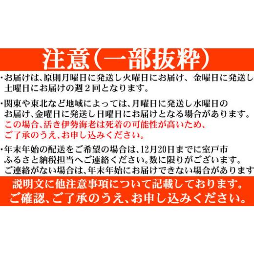 ふるさと納税 高知県 室戸市 活伊勢海老３ｋｇ