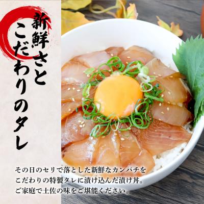 ふるさと納税 田野町 これが魚屋の漬け丼だ!〜カンパチ〜 《訳あり》 80g×10P