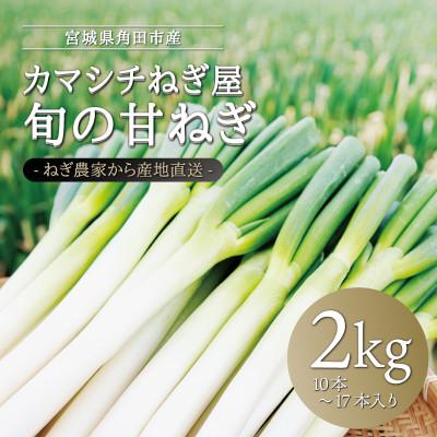 ふるさと納税 角田市 カマシチねぎ屋 旬の甘ねぎ 2kg(約10本〜17本)