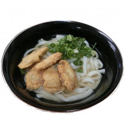 ふるさと納税 飯塚市 博多ごぼう天うどん　12食セット(飯塚市)