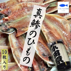 真あじ干物 大10枚 (1枚当たり約120g)  小田原加工、脂あります 