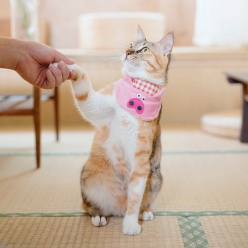 寵物領巾-粉紅豬豬-粉紅格子