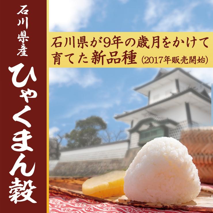 新米 米 ひゃくまん穀 5kg 石川県産 白米 令和5年産 送料無料