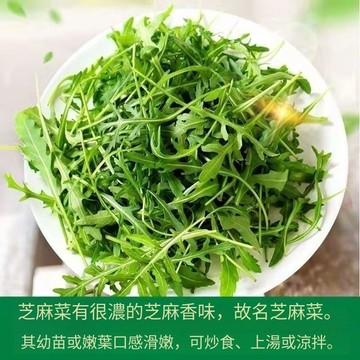 青禾園藝（芝麻葉種子）芝麻菜種子/芝麻葉菜 十字花科 帶有一種特殊的芝麻香氣 火箭菜」箭生菜盆栽地栽菜園蔬菜種子