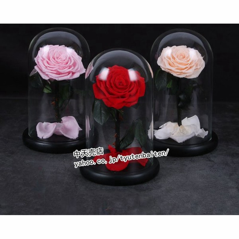 プレゼント ギフト 透明ガラス プロポーズ 告白 バラ バレンタイン 手作り 造花 高級造花 枯れない花 フラワーギフト ホワイトデー 誕生日プレゼント きれいめ 通販 Lineポイント最大0 5 Get Lineショッピング