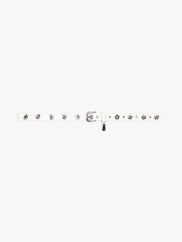 DAISY EYELET BELT_WHITE