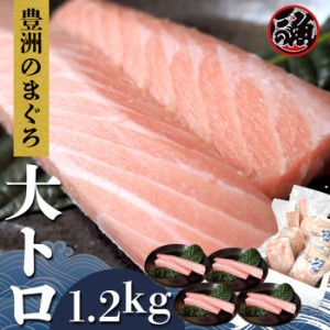 大トロ　1．2ｋｇ 極上 お刺身 トロ　 メバチ マグロ まぐろ 天然 国産