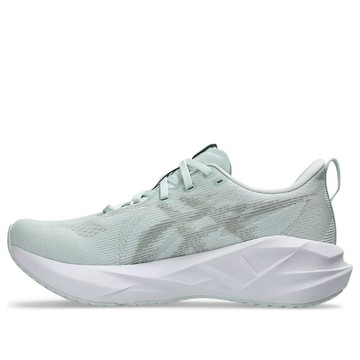 (WMNS) ASICS Novablast 5 'Pure Aqua Seal Grey'
