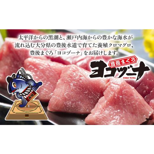 ふるさと納税 大分県 津久見市 豊後まぐろ ヨコヅーナ  赤身400ｇ 中トロ400g 鮪 マグロ 海鮮丼 刺し身 盛り合わせ 冷凍 魚の刺身 大分県産 九州産 津久見市