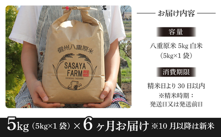 八重原米5kg（5kg×1袋）白米