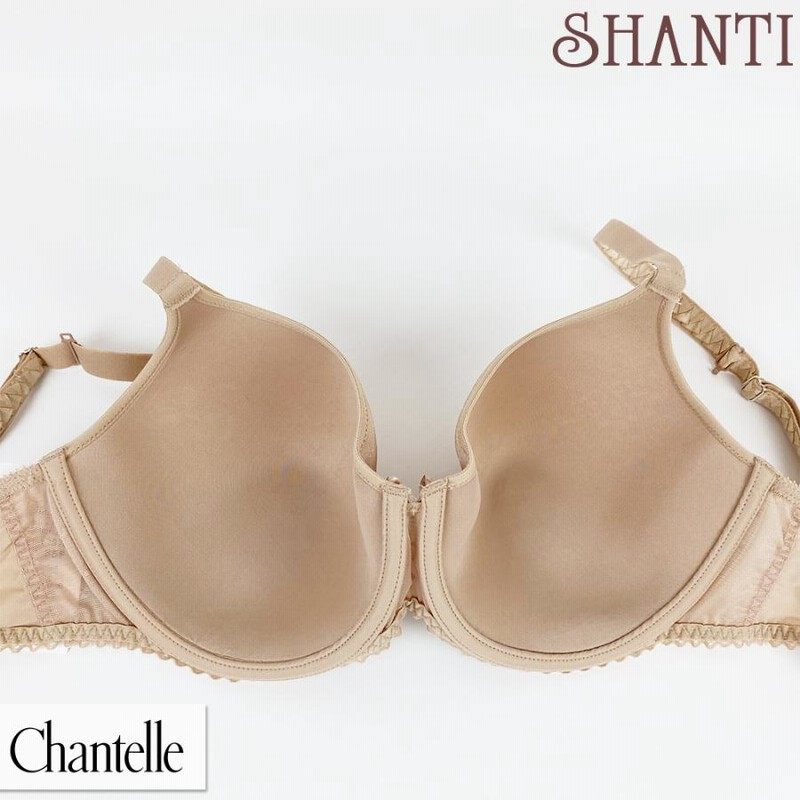 Chantelleシャンテル COURCELLES モールドカップブラジャー F70