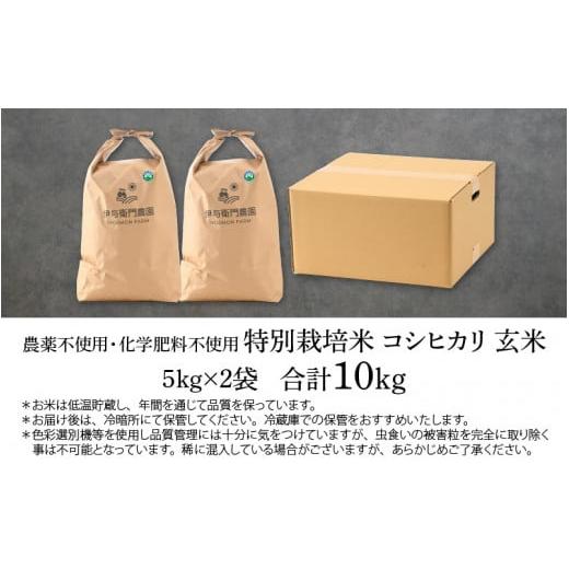 ふるさと納税 福井県 あわら市 先行予約 令和6年産 コシヒカリ 玄米 10kg 特別栽培米 5kg×2袋 化学肥料不使用  ＜温度と湿度を常時管理し新鮮米を出荷！＞※2…