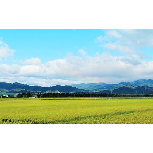 ふるさと納税 新潟県 聖籠町 新潟県聖籠産コシヒカリ30kg（10kg×3袋）聖籠地場物産