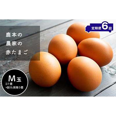 ふるさと納税 山鹿市 赤たまごM玉40個(37個 割れ保障3個)全6回