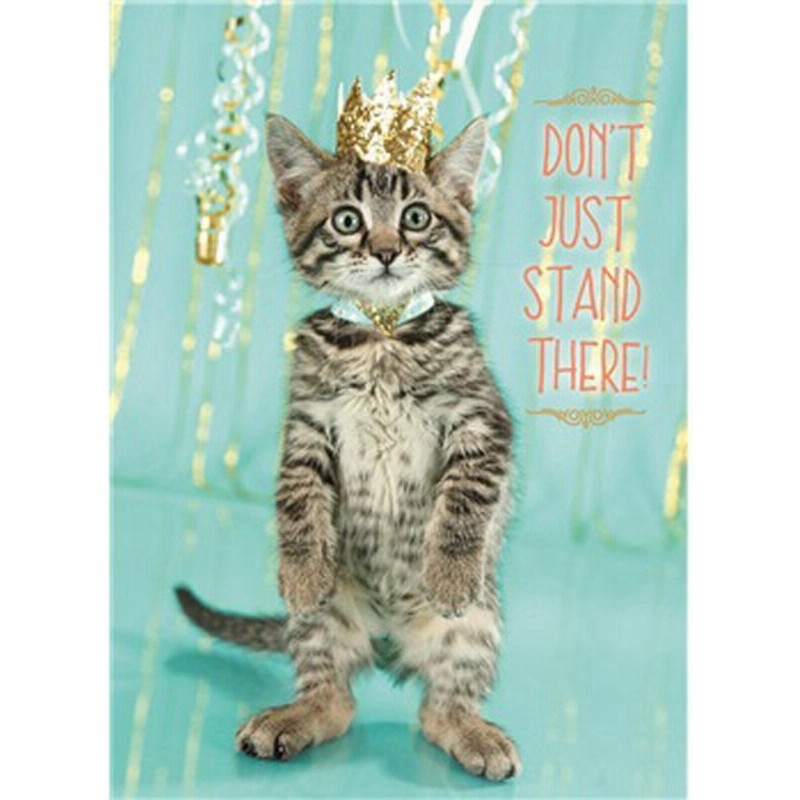 猫のバースデーカード キングキティ 通販 Lineポイント最大0 5 Get Lineショッピング