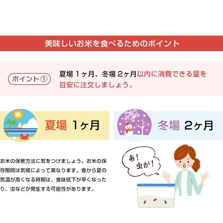 新米　お米 10kg さがびより 佐賀県産 令和5年産 5kg×2袋