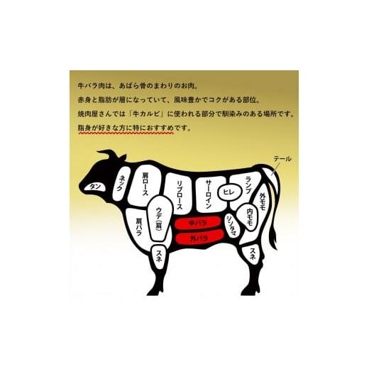 ふるさと納税 岐阜県 可児市 飛騨牛 カルビ 500g｜焼肉 肉 牛肉 カルビ 焼肉用 まとめ買い おうち焼肉 BBQ バーベキュー 肉 花見 和牛 国産牛 黒毛和牛