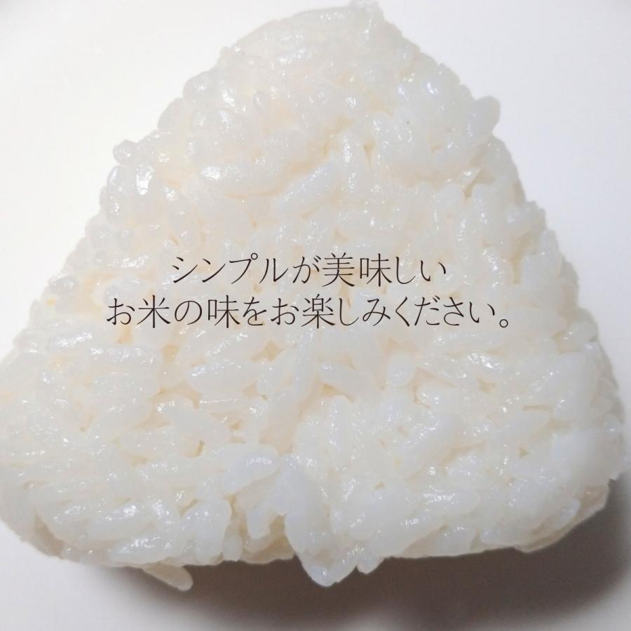 米 新米 令和5年産 無洗米 米 お米 送料無料 ひとめぼれ 岩手県奥州産 真空 3合×6袋