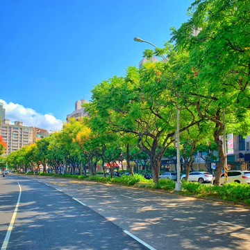 卓培煙【忠誠欒樹大道】文人雅巷雙車位四房｜台北市士林區忠誠路二段
