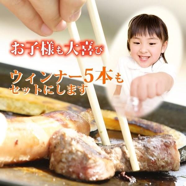 敬老の日 牛肉 焼肉 セット 800g ＋ ウィンナー5本 カルビ 豚バラ 牛タン 鶏もも 送料無料 焼肉セット 焼き肉 バーベキュー BBQ やきにく ギフト