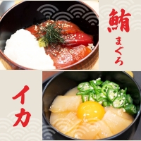 こだわり！土佐の海鮮丼の素５種・各2袋セット漬け丼 漬け丼セット 海鮮 丼 各2パック お茶漬け 鰹のタタキ かつお サバ 鯛 カンパチ ブリ 送料無料 故郷納税 ふるさとのうぜい 返礼品 高知県 高知 12000円