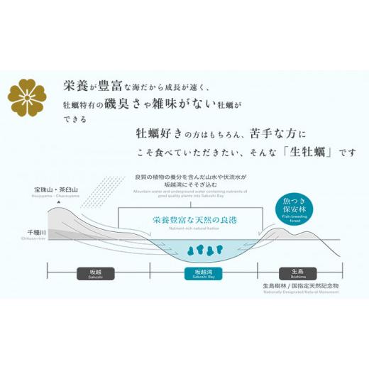 ふるさと納税 兵庫県 赤穂市 牡蠣 坂越かき 剥き牡蠣 500g×2[ 生牡蠣 かき カキ むき身 剥き身 生食