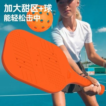 台灣出貨 匹克球拍 台灣出貨 匹克球拍組 Picklebal 匹克球 板羽球拍 板羽球 球拍套裝組 全齡段