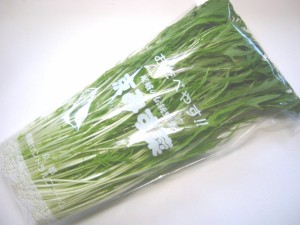 日常の一般野菜 水菜 1袋