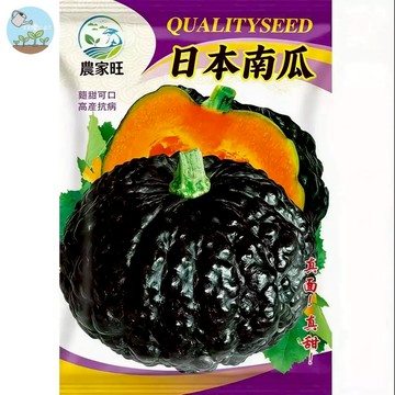 【原廠包裝】日本栗子南瓜種子（Japanese Pumpkin）16粒 粉質香甜 栗子口感 家庭菜園 陽台盆栽 豐產易種