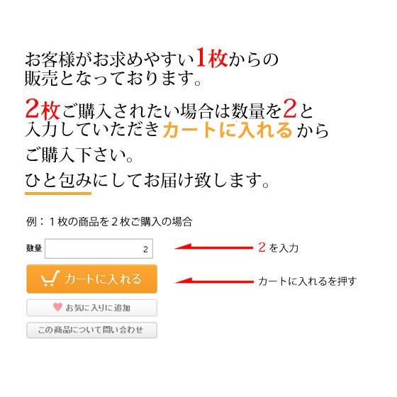 A4ランク 近江牛サーロインステーキ（1枚約170g） 1枚入り