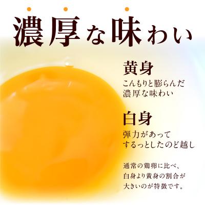 ふるさと納税 小牧市 名古屋コーチン卵・仙寿卵お試しセット(各10個入り)×3回 [006K02-T]