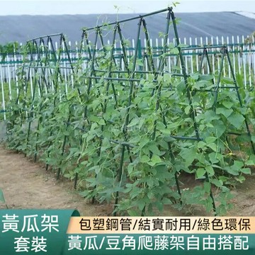 ??【可開發票】爬藤架 園藝花支架 園藝支架 植物架 種菜架子 包塑鋼管花支架 植物豆角黃瓜架 葡萄架 戶外花架