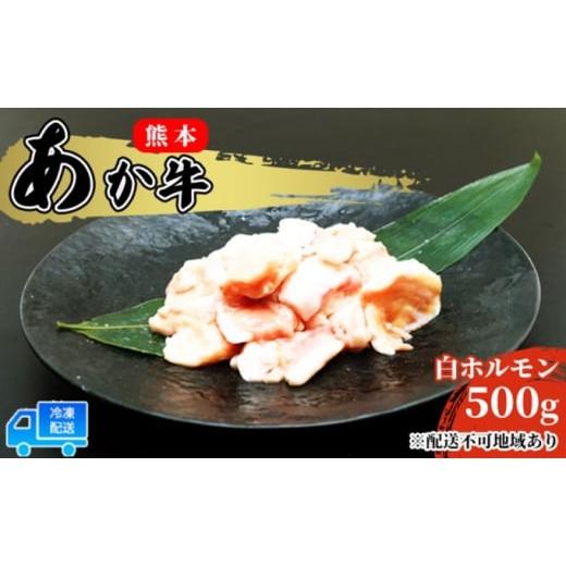 ふるさと納税 熊本県 錦町 熊本 あか牛 白ホルモン 500g（250g×2パック）※配送不可：離島