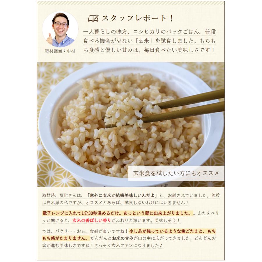 パックご飯 玄米 20パック入り 大地創造職人 反町敏彦 送料無料