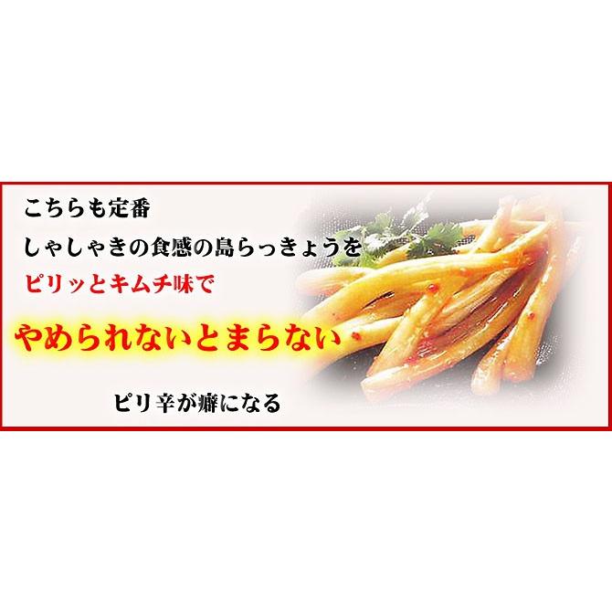 おつまみ 島らっきょう キムチ（30g）×10袋 沖縄県産うちなー自慢 お土産  おすすめ