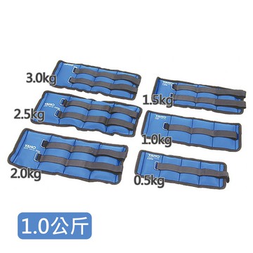 來而康 耀宏 YH254-1 運動健身用 沙袋 1公斤 沙包 負重沙袋 沙包袋