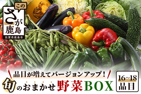 旬のおまかせ野菜BOXセット 16～18品目お届け 冷蔵配送B-690