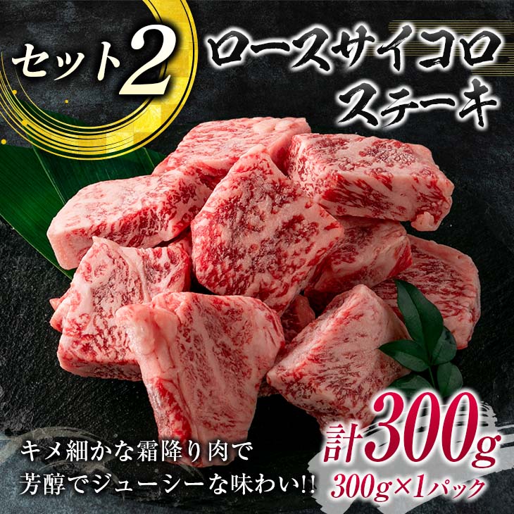 E42-23 ≪数量限定≫宮崎牛ステーキ食べ比べセット(合計500g)　肉　牛　牛肉　国産