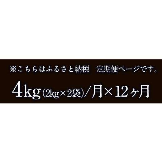 ふるさと納税 福岡県 小竹町 令和5年産 小さな竹美人 精米 4kg(2kg×2袋) 白米 株式会社コモリファーム《お申込み月の翌月…